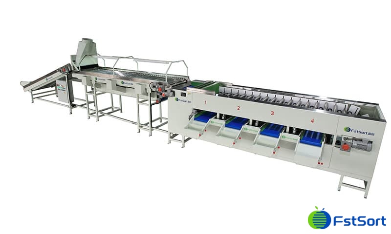 images/1694159882573onion sorting machine.jpg